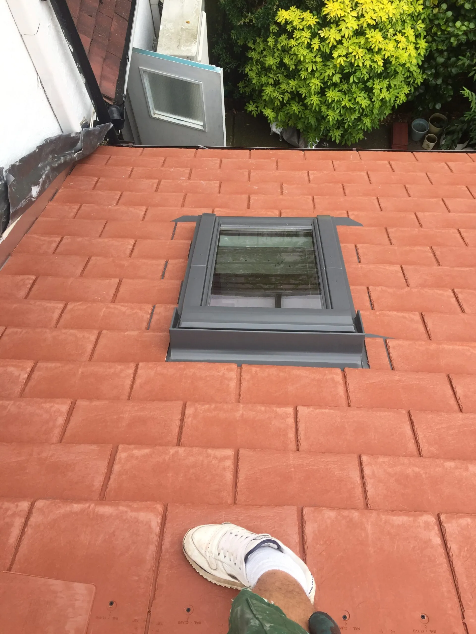 velux windows.
